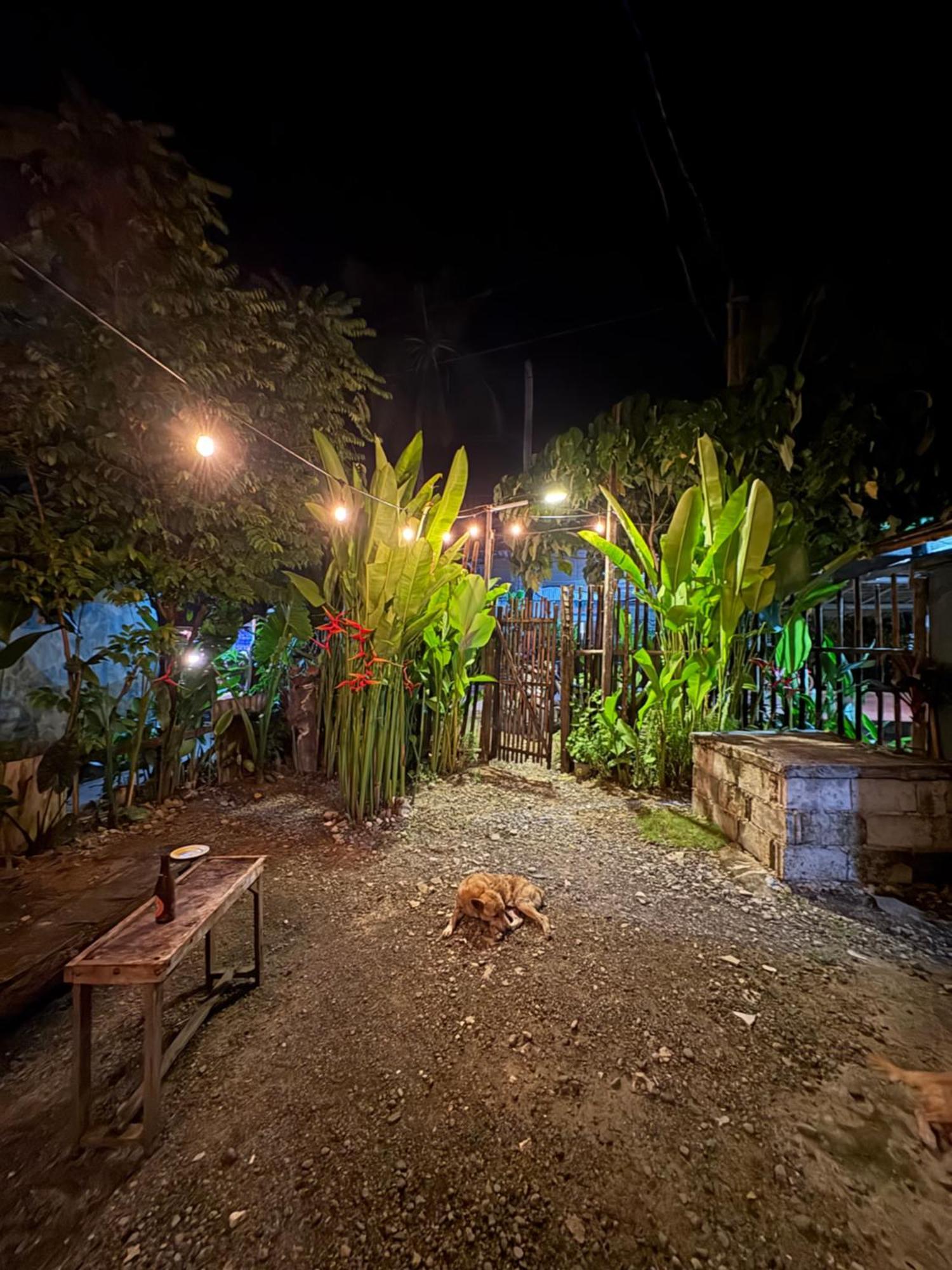 Jaydy Hostel General Luna  Luaran gambar