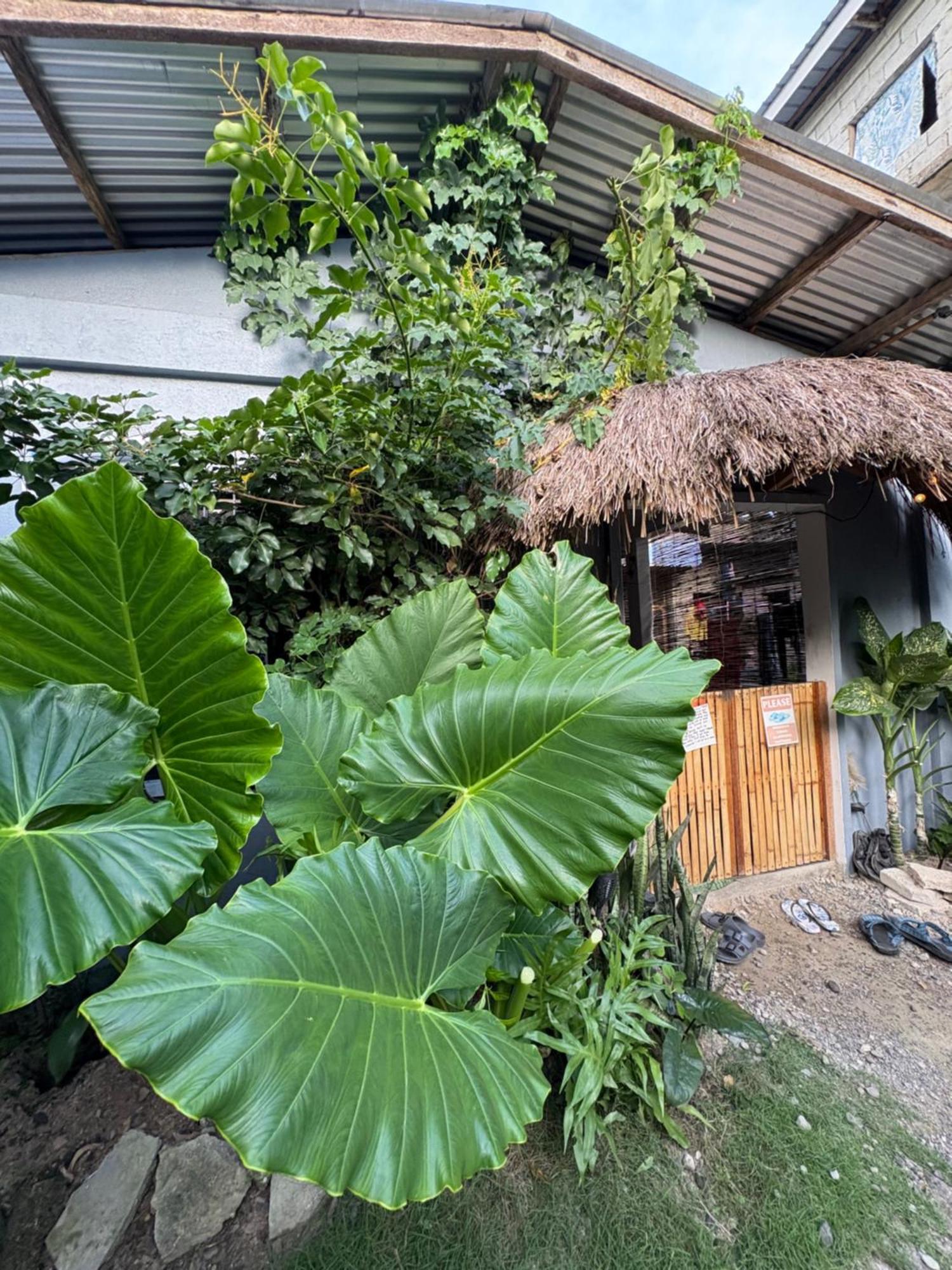 Jaydy Hostel General Luna  Luaran gambar